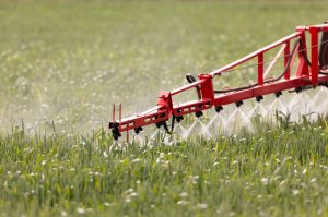 Dacthal Pesticide Injury Lawsuit Lawyer